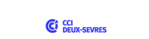 Logo CCI France